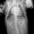 우람동물병원 이미지