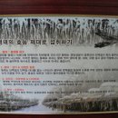 황금명태본가 이미지