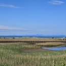 유일카센타 이미지