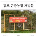 지구별작은도서관 | 김포 곤충농장 장수풍뎅이 애벌레 키우기 재방문 후기