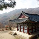 지장수식품 네이버블로그