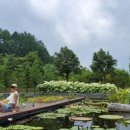 다덕약수관광단지 이미지