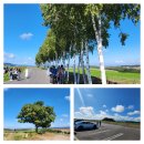 동화주유소 | 홋카이도 현지렌트카 여행 후기