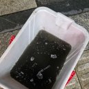 온누리성모약국 이미지