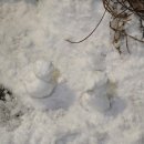 파파앤드류 | 블로그 제목 뭐로 하지?