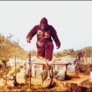 킹콩도너츠
