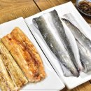 벌떡 장어 이미지