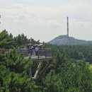 (주)동화에너지 | 서천 장항 맥문동 9월 가볼만한곳 송림자연휴양림 스카이워크 송림동화
