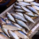 꿈에그린펜션A 이미지