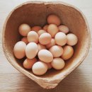 백봉호텔 이미지