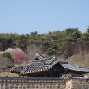 사색의길(종학당) | 논산 종학당, 사랑스러운 봄 풍경