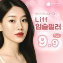 리프성형외과의원 | 입술필러 9만원!!내돈내산 후기