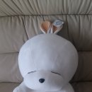 통큰 인형뽑기 이미지