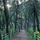 삼문동 문화체육회관 체육관 이미지