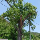 퇴곡민박 이미지