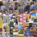 남동농산물 이미지