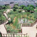 롯데쇼핑(주)일산점
