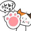 카페.koo 이미지