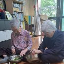 도란도란 실파, 고구마줄기 다듬기 이미지