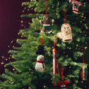 안다즈 서울 강남(Andaz Seoul Gangnam) 이미지