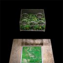 국립익산박물관 이미지