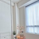 벨롱폴댄스 이미지