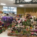 유림꽃화원 이미지