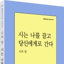 지성사 조선일보