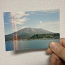 제일 카메라 수리 후기 / 돌아온 블로그, 첫 일상 포스팅 / 필름 카메라