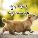 해피하모니 이미지