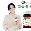 건예아트 | [마이카인드]철분부족증상 유기농 철분제
