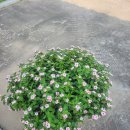 강사3리경로당 이미지