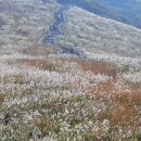 더드림우리부동산공인중개사사무소 이미지