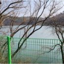 굿모닝한라공인중개사사무소 이미지