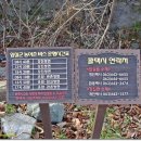 물안개식당