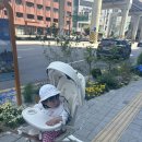 성수도시개발 | 리베니크 성수 자이 팝업 후기｜서울숲 성수 자이 예약·워크인 방문 가능