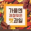 신일렌트홈 네이버블로그