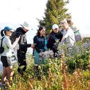 알프스가든 이미지