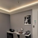 퍼플 315 이미지