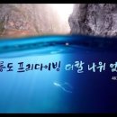 (주)프리투어 이미지
