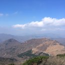 선명사슴농장 이미지