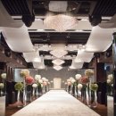 웨스턴베니비스 이미지