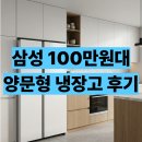 삼성솔라에너지 | RS84DG5002WW 후기 삼성 양문형 냉장고 장점 단점 100만원대