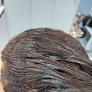 가수원동염색방 대전새치염색 물들이는염색방
