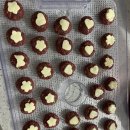 원애견&뭉까두까 이미지