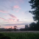 달백스테이 이미지