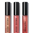 브라운스프링 이미지