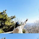 수원-0933 이미지