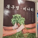 한재미농장 | 신천시장 맛집 목구멍 신천시장점 / 미나리삼겹살 맛도리 대구은행역맛집