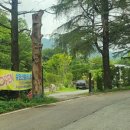 삼인산밸리캠핑장 이미지